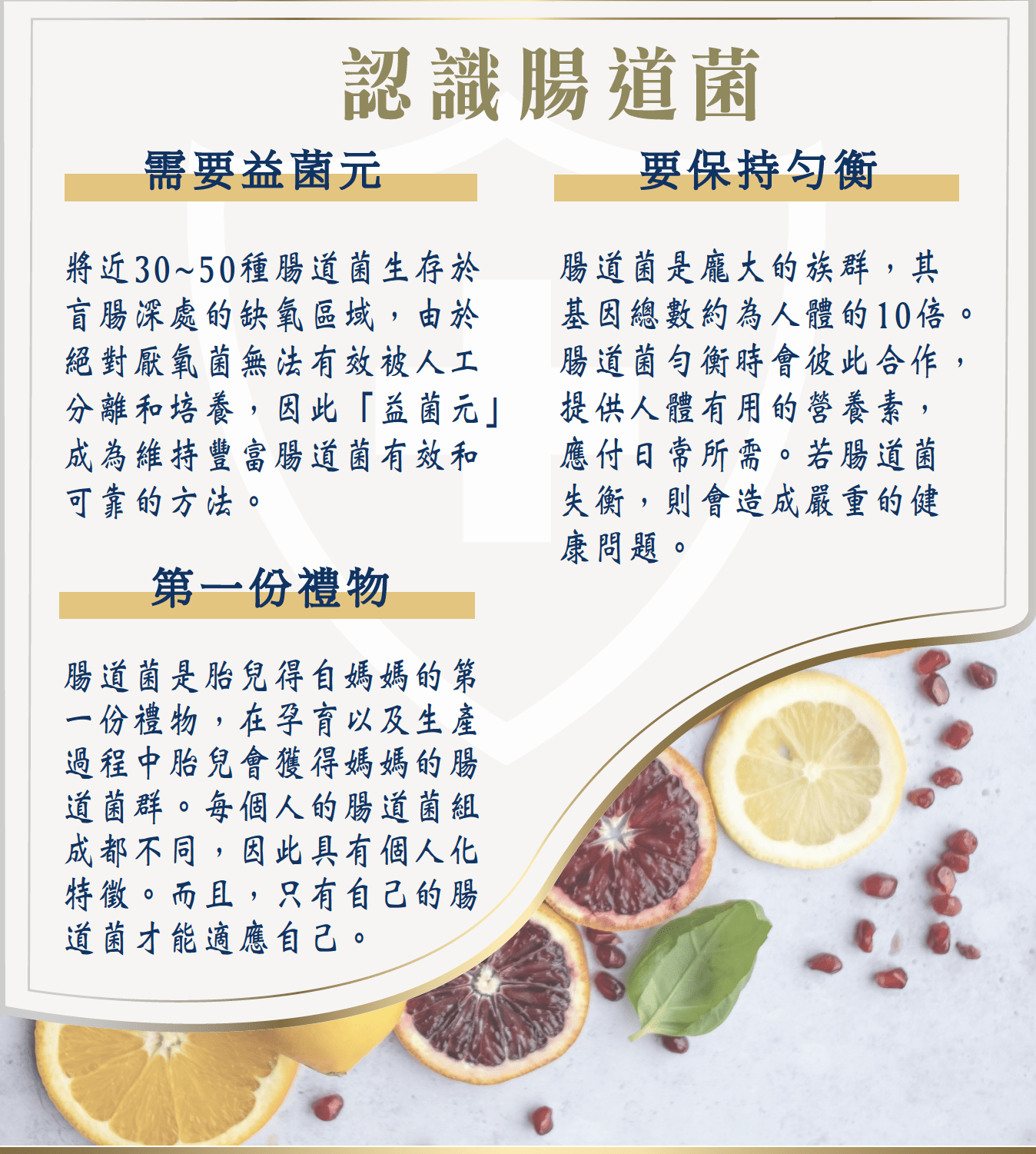 適益 益菌元 益生菌 益生元